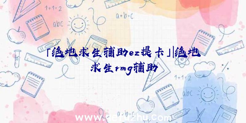 「绝地求生辅助ez提卡」|绝地求生rmg辅助